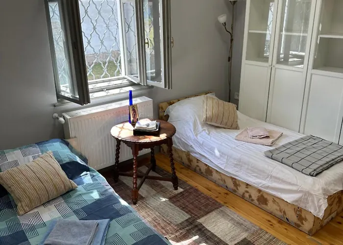Museum Apartment In The City Center